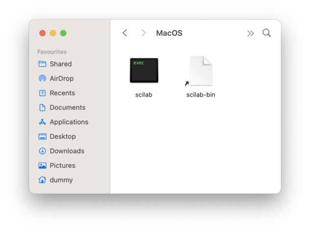 Package contents MacOS folder
